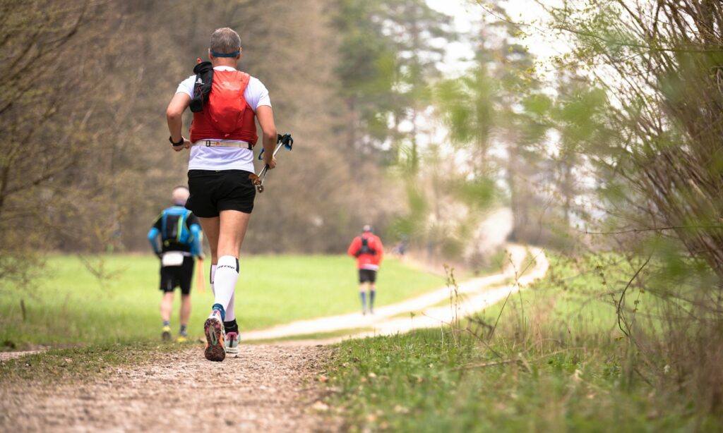 Risus purus namien parturient accumsan cacus